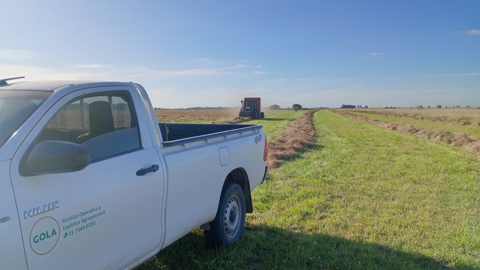 Trabajo de campo 5