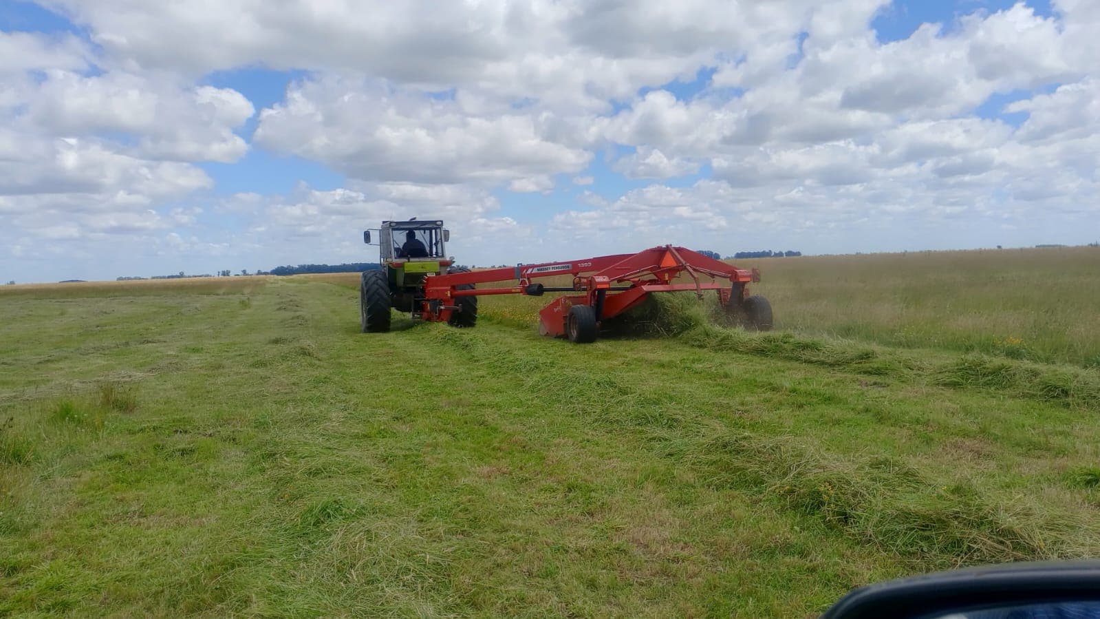 Trabajo de campo 6