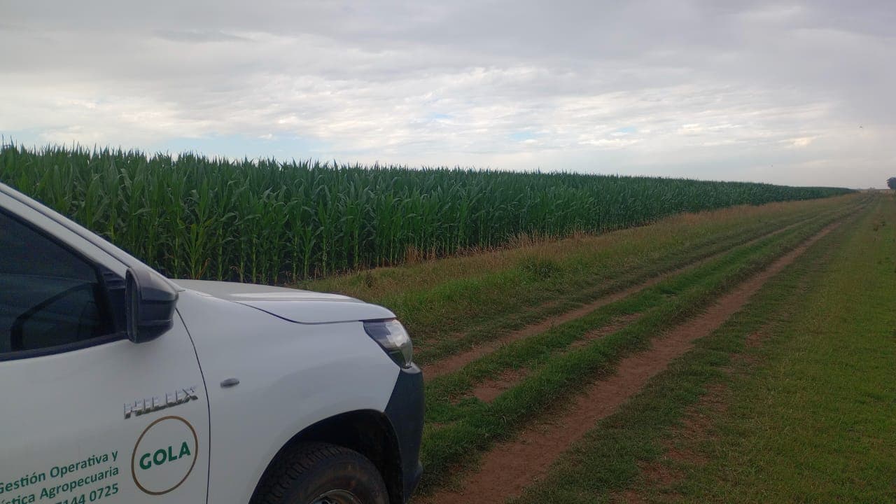 Trabajo de campo 3