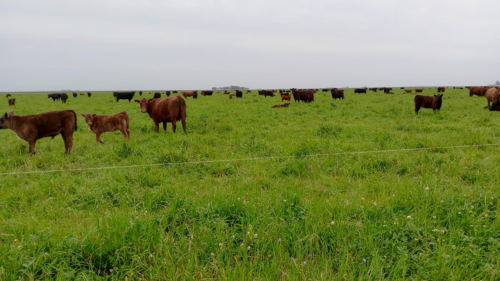 Trabajo de campo 2